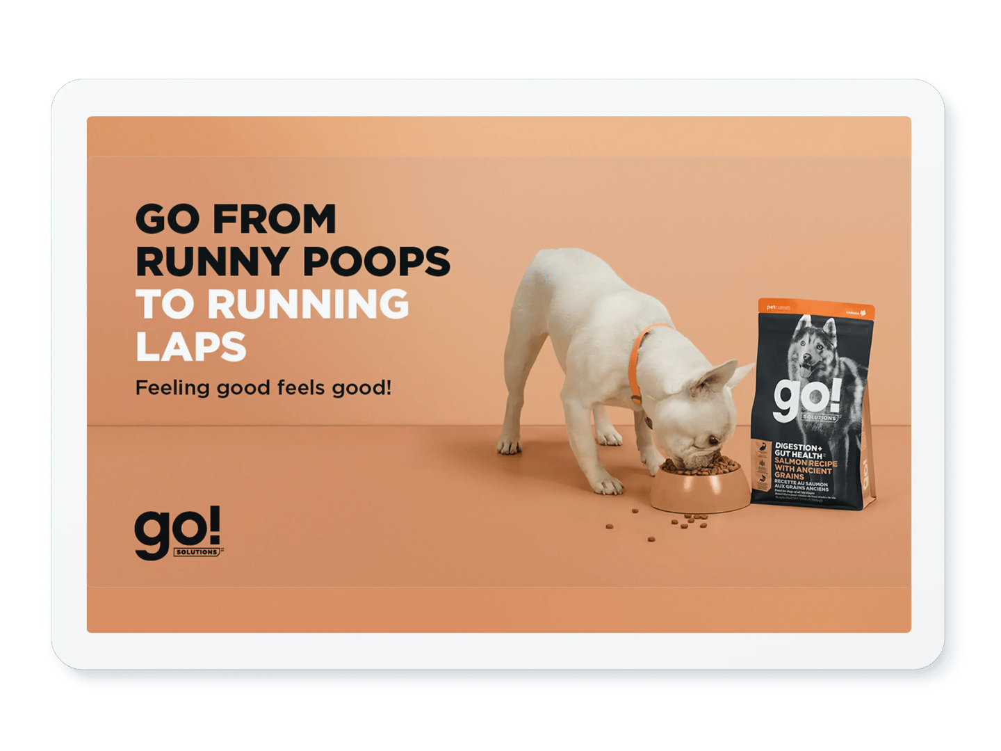 GO!-Solutions_case-study_Full-Width_WS